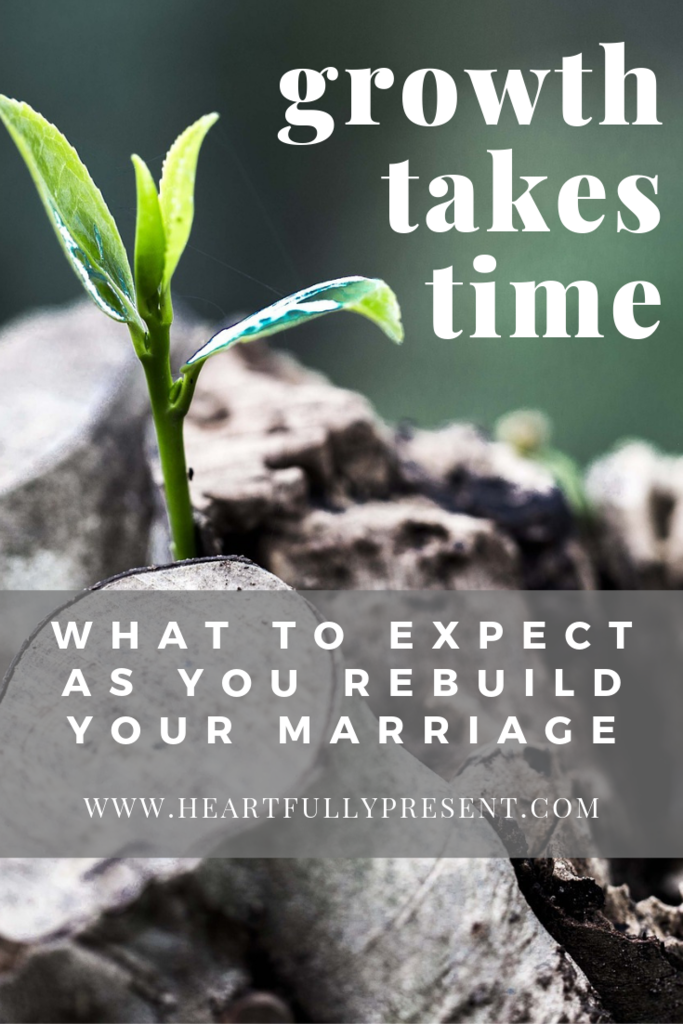 new growth | green plant | growth in marriage