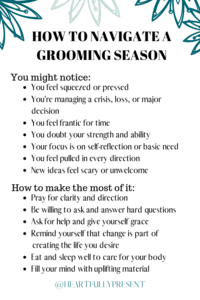 Grooming season pin 1 Seasons change | Grooming season | quick tips for navigating a grooming season